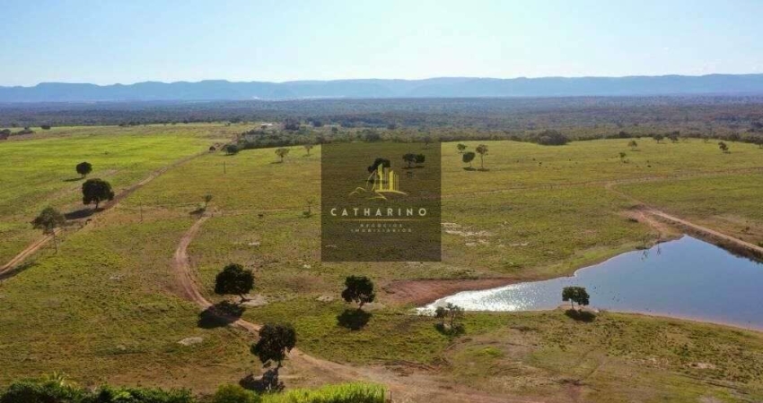 Fazenda em Jangada/MT