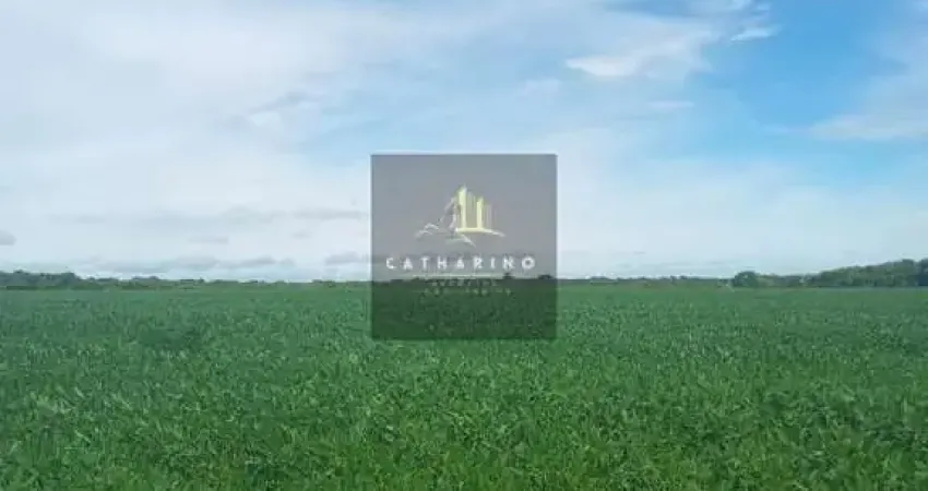 Fazenda à venda na Interior, S/N, Centro, Nobres