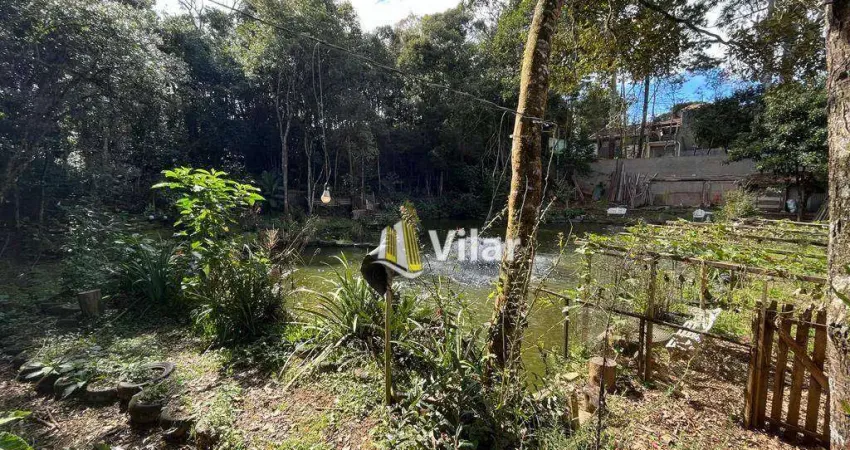 Chácara com 1 dormitório à venda, 4000 m² por R$ 349.900,00 - Planta São Tiago - Piraquara/PR