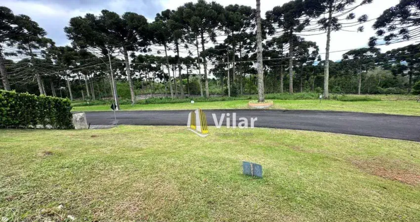 Terreno à venda, 1007 m² por R$ 630.000 - Vila Fuck - Piraquara/PR