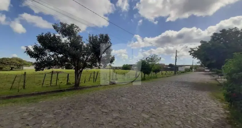 Terreno à venda na Hélio Bohrer Veloso da Silveira, 395, Vicentina, São Leopoldo