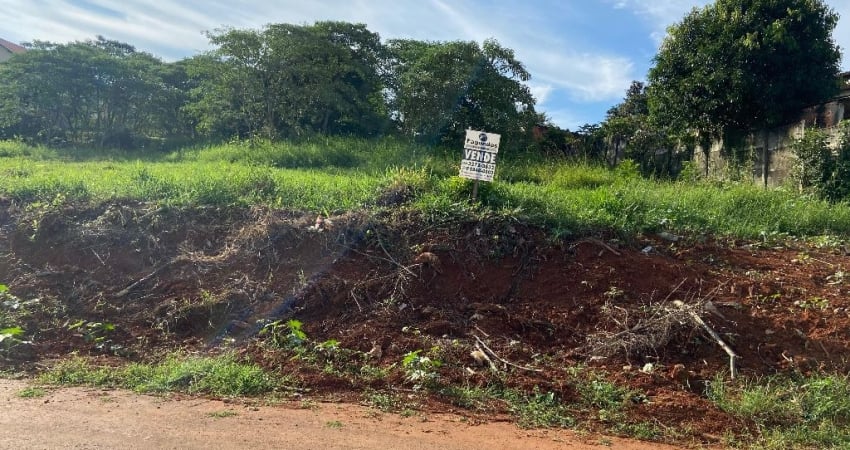 Terreno à venda na Rua Sírio de Castro Ribas, Alto das Oliveiras, Telêmaco Borba
