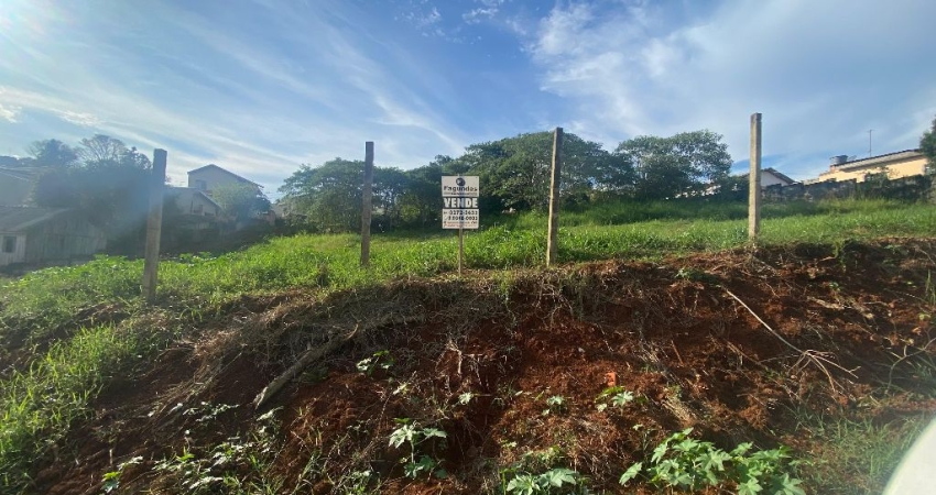 Terreno à venda na Rua Sírio de Castro Ribas, Alto das Oliveiras, Telêmaco Borba
