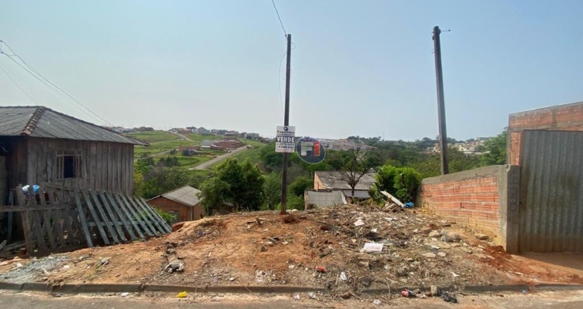 Terreno à venda na Rua dos Pintassilgos, Jardim São Silvestre, Telêmaco Borba