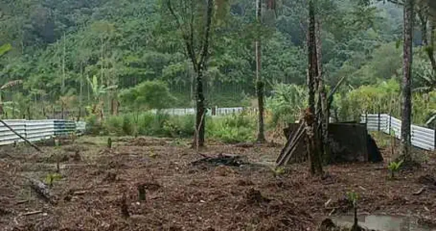 Terreno amplo cercado pela natureza à venda em Mongaguá/SP!