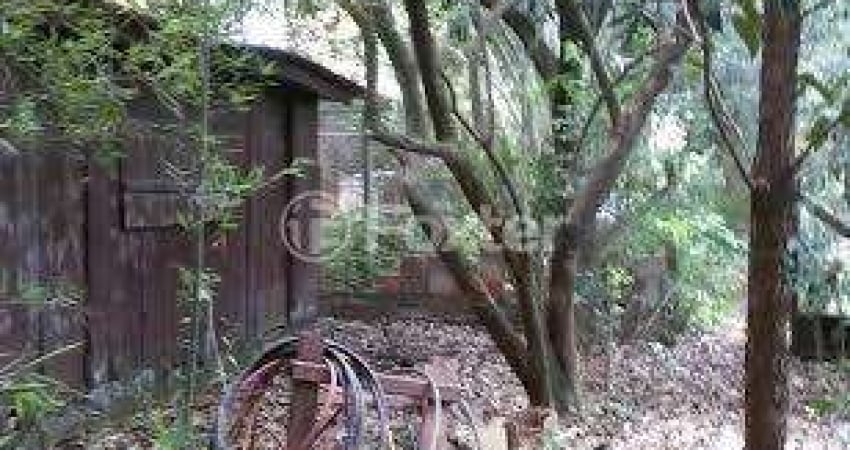 Terreno à venda na Avenida Bento Gonçalves, 1589, Partenon, Porto Alegre