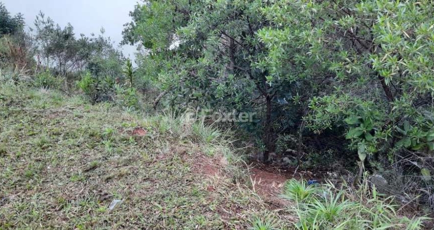Terreno à venda na Avenida Altos do Santa Rita, 520, Aberta dos Morros, Porto Alegre