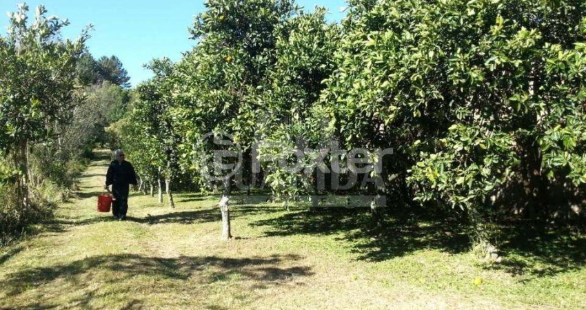 Terreno à venda na Estrada Afonso Lourenço Mariante, 2892, Belém Velho, Porto Alegre