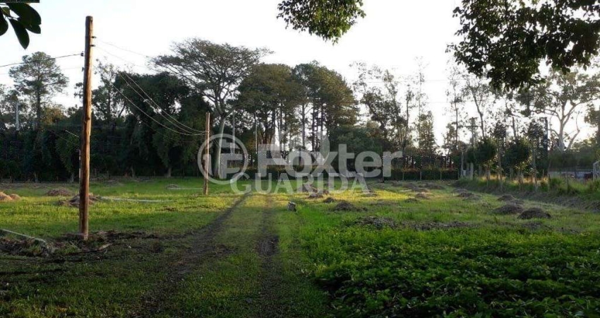 Terreno comercial à venda na Avenida Edgar Pires de Castro, 4346, Restinga, Porto Alegre