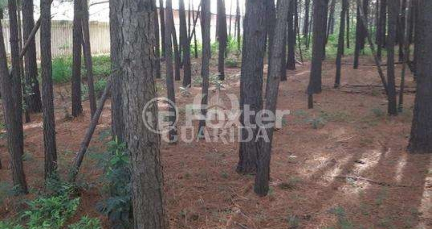 Terreno à venda na Estrada José Zingano, 721, Distrito Industrial, Cachoeirinha