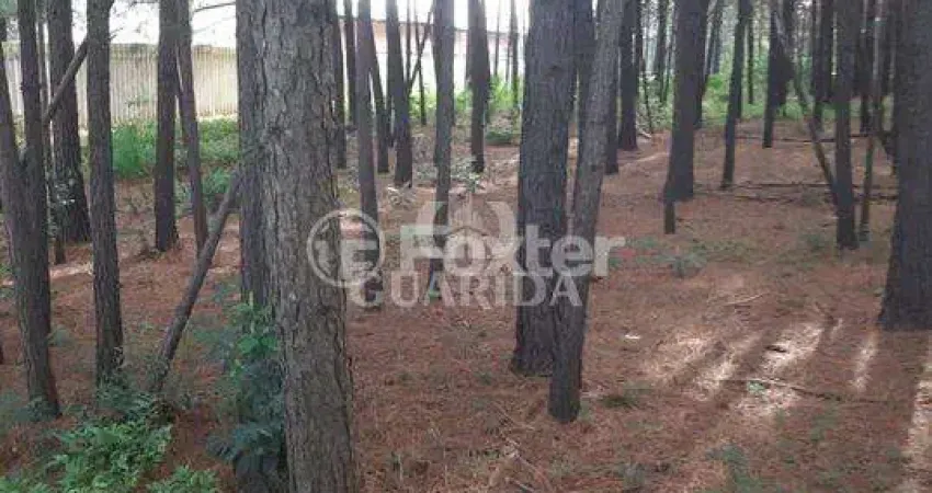 Terreno à venda na Estrada José Zingano, 721, Distrito Industrial, Cachoeirinha