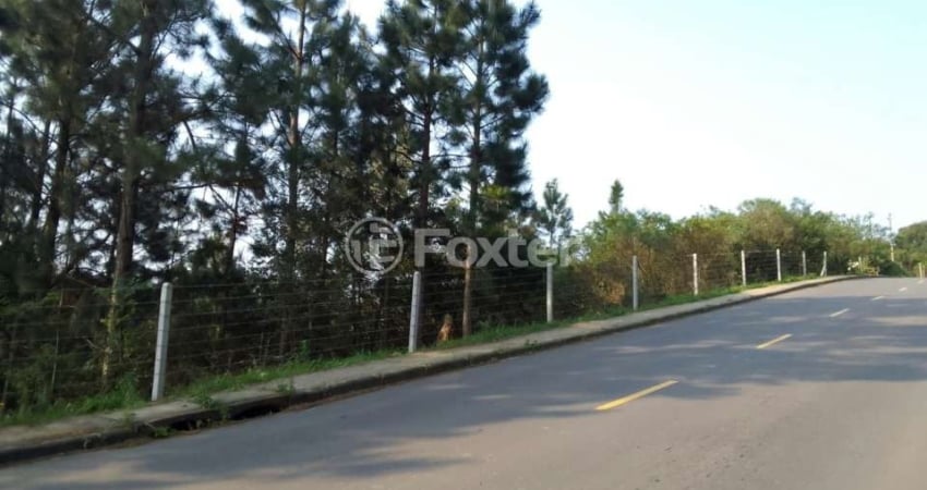 Terreno à venda na Estrada das Furnas, 788, Vila Nova, Porto Alegre