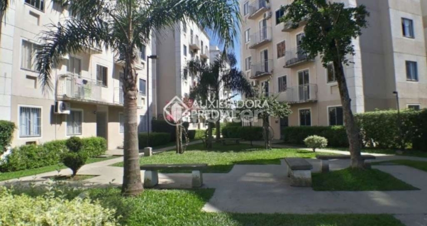 Apartamento com 3 quartos à venda na Rua Tomé de Souza, 100, Santos Dumont, São Leopoldo