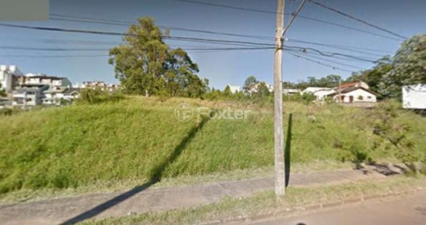 Terreno comercial à venda na Avenida Juca Batista, 2775, Hípica, Porto Alegre