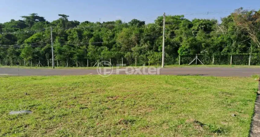 Terreno à venda na Rua Anita Luzia Braun, 10, Loteamento Jardim Timbaúva, Gravataí