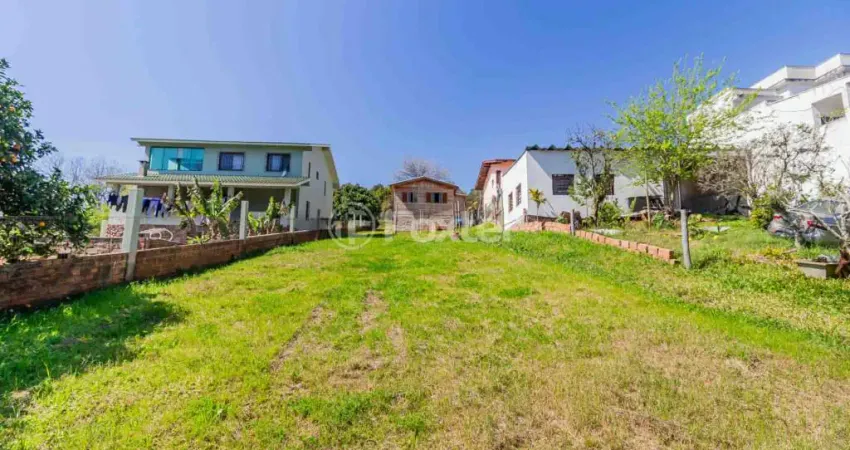 Terreno comercial à venda na Avenida Belém Velho, 2784, Vila Nova, Porto Alegre