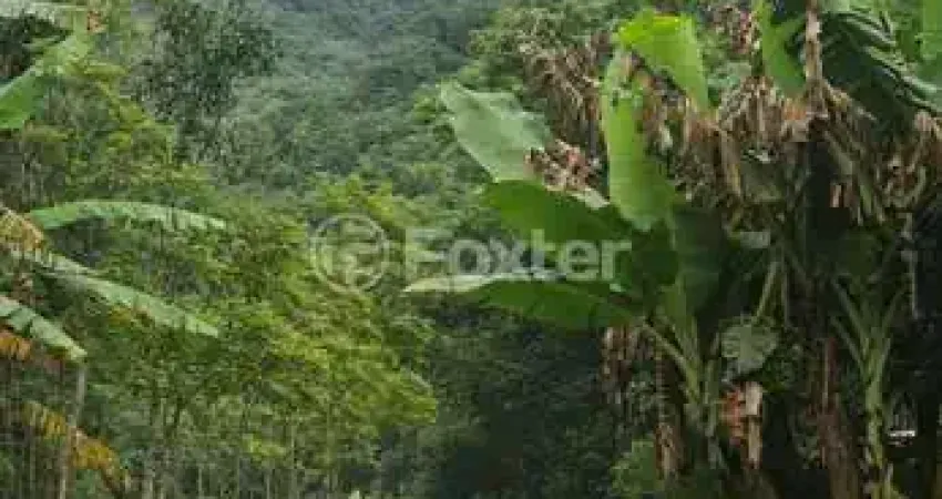 Fazenda com 1 sala à venda na Estrada Linha Mundo Novo, Km 4, Centro, Maquiné