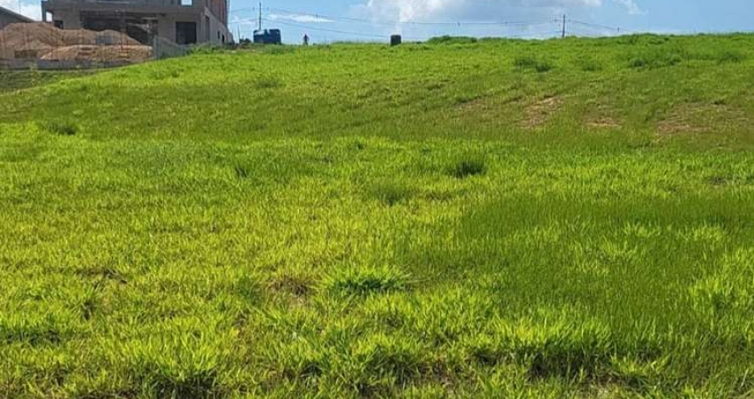 Terreno à venda na Rodovia Cônego Cyriaco Scaranelo Pires, Parque Residencial Indaiá, Indaiatuba