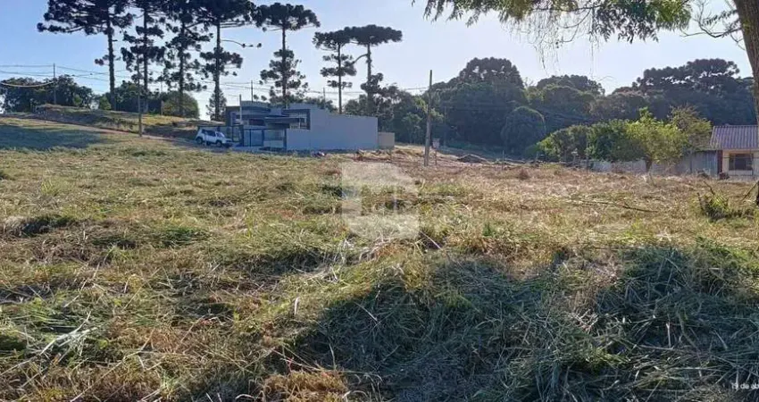 Terreno à venda na Rua Anastácia Gawleta Drobzenski, 270, Costeira, Araucária