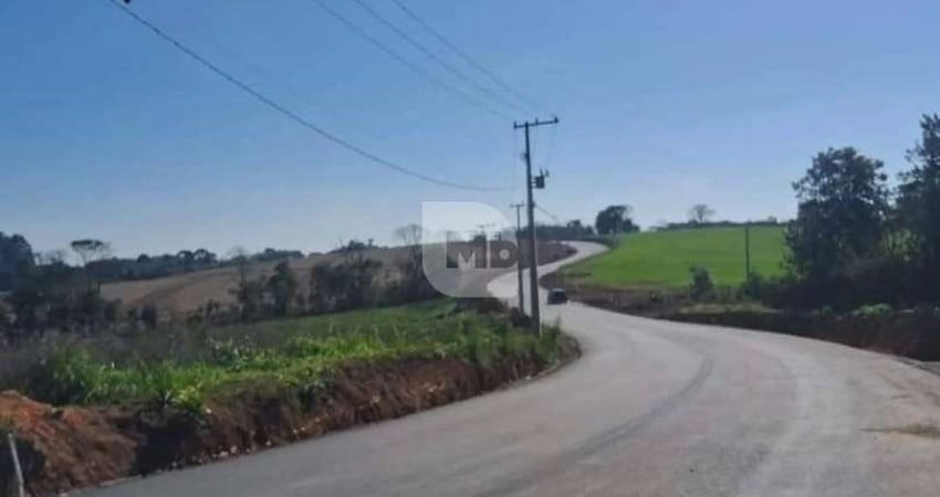 Chácara / sítio à venda na Clementina Knysak, 1200, Zona Rural, Araucária