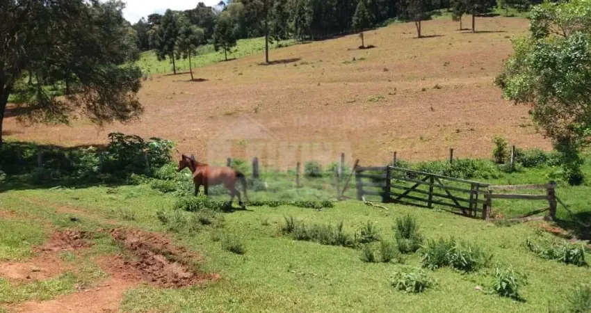 Chácara à venda, 193000.00 m2 por r$900000.00 - socavao - castro/pr