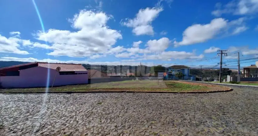 Terreno à venda, 696.00 m2 por R$950000.00  - Oficinas - Ponta Grossa/PR
