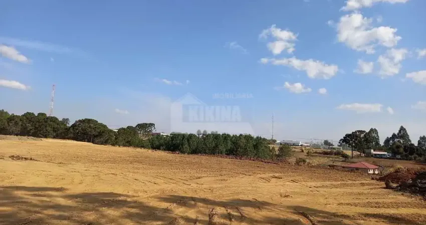 Terreno à venda, 181500.00 m2 por R$1600000.00  -  - Tibagi/PR