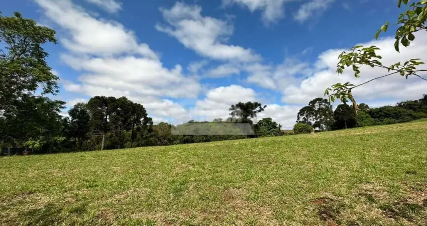 Terreno para alugar, 10050.00 m2 por R$3000.00  - Chapada - Ponta Grossa/PR