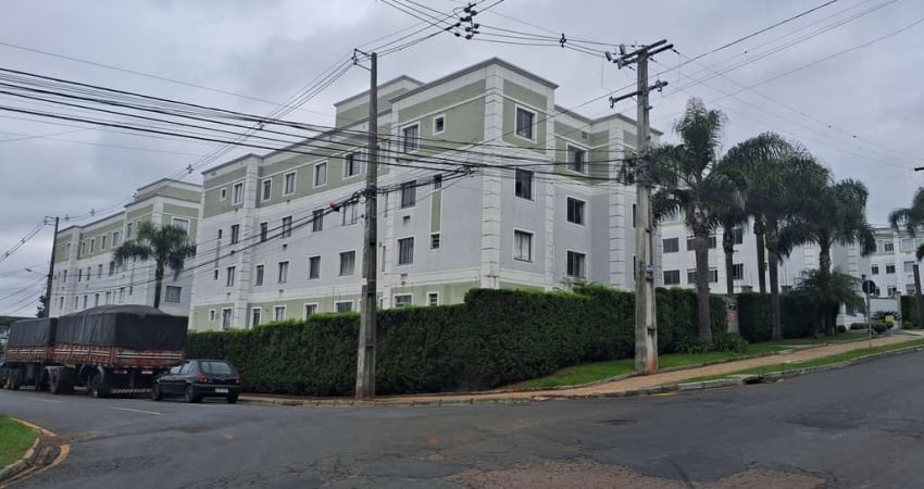 Apartamento com 2 quartos  à venda, 50.00 m2 por R$250000.00  - Colonia Dona Luiza - Ponta Grossa/PR