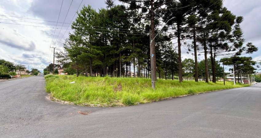 Terreno à venda, 10962.00 m2 por R$8770000.00  - Jardim Carvalho - Ponta Grossa/PR