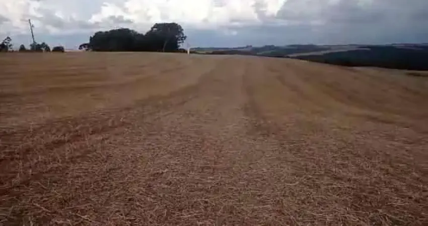 Fazenda à venda, 0.00 m2 por R$4800000.00  - Zona Rural - Tibagi/PR