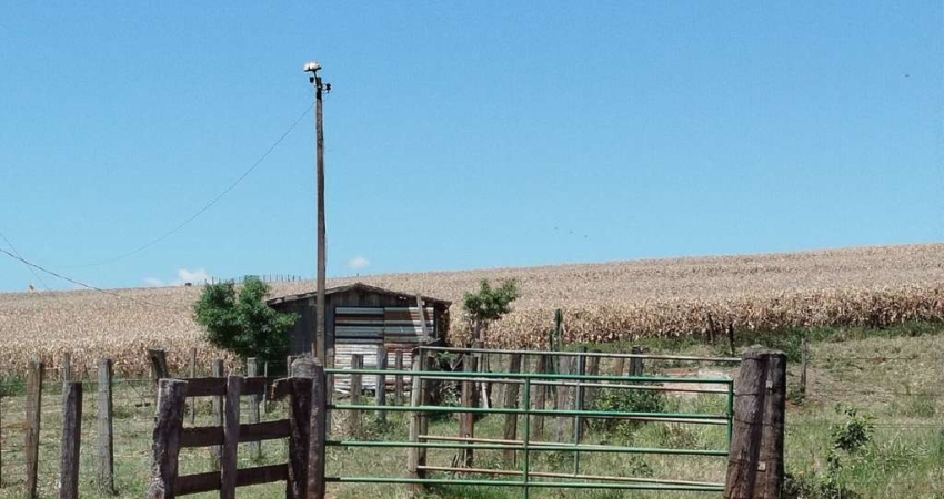 Fazenda à venda, 0.00 m2 por R$5000000.00  -  - Jandaia Do Sul/PR