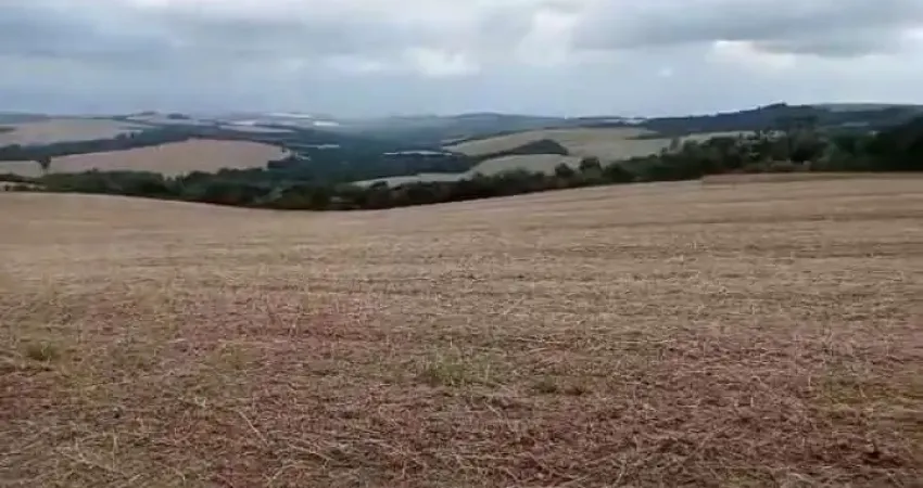Fazenda à venda, 0.00 m2 por r$2800000.00  - alto do amparo - tibagi/pr