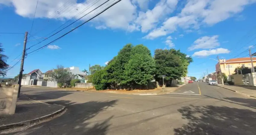 Terreno à venda, 448.00 m2 por r$400000.00  - colonia dona luiza - ponta grossa/pr