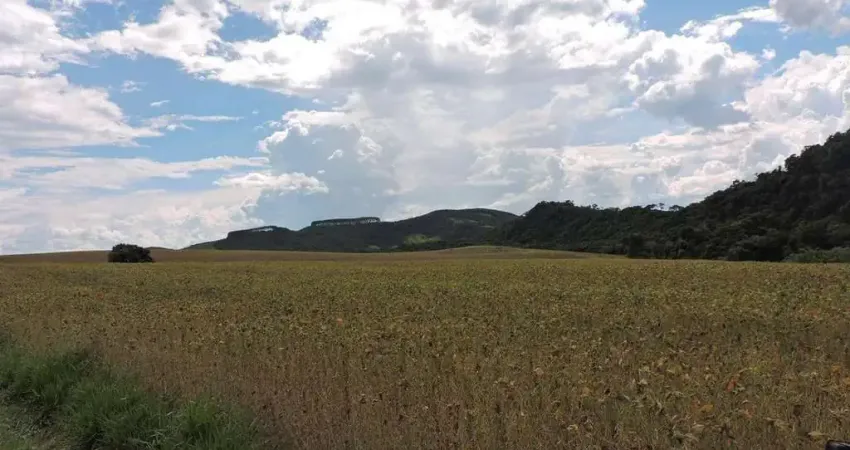 Fazenda à venda, 1089000.00 m2 por r$5800000.00 - rural - candido de abreu/pr
