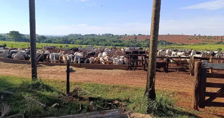 Fazenda à venda, 2613600.00 m2 por r$18360000.00  - area rural de umuarama - umuarama/pr