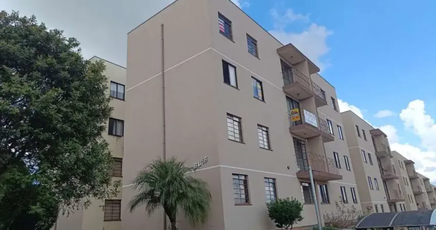 Apartamento com 3 quartos  à venda, 60.00 m2 por r$180000.00  - colonia dona luiza - ponta grossa/pr