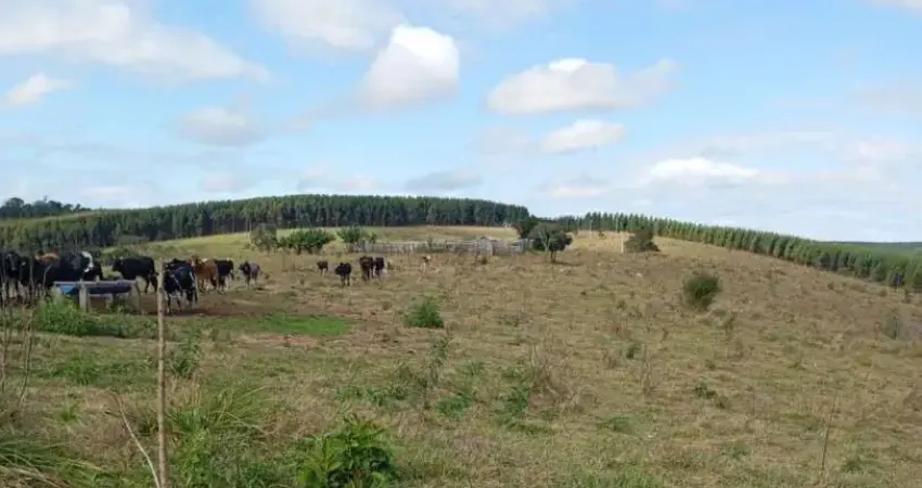 Fazenda à venda, 2541000.00 m2 por r$15000000.00 - rural - curiuva/pr