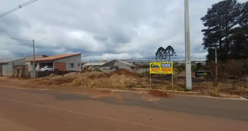 Terreno à venda, 300.28 m2 por r$127000.00  - cara-cara - ponta grossa/pr