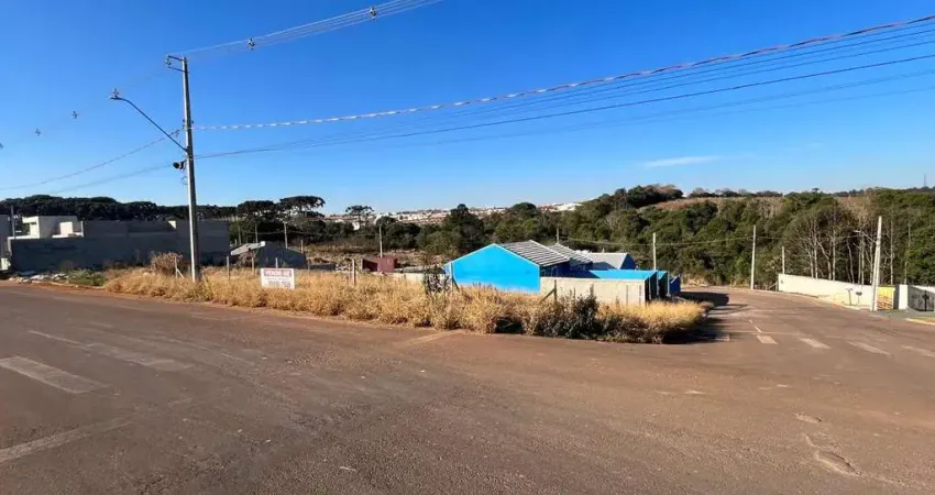 Terreno à venda, 370.00 m2 por r$255000.00 - cara-cara - ponta grossa/pr