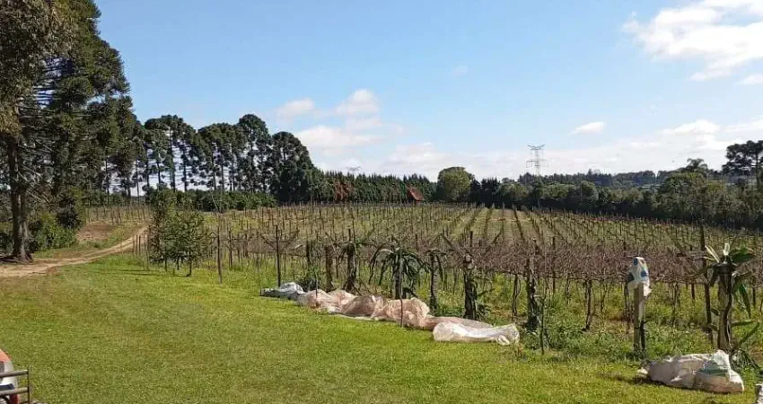 Chácara à venda, 177060.00 m2 por r$2000000.00  - distrito de guaragi - ponta grossa/pr