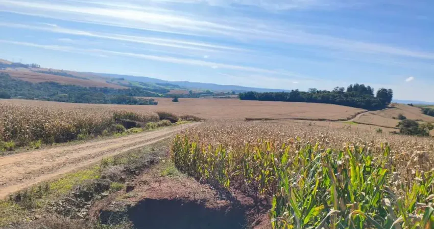 Fazenda à venda, 3363800.00 m2 por r$30000000.00  - rural - ariranha do ivai/pr