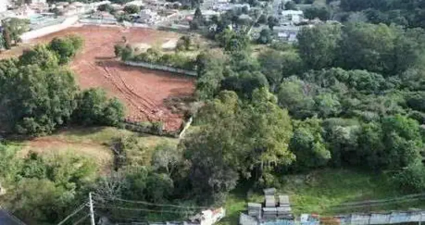 Terreno à venda, 9500.00 m2 por r$3500000.00  - jardim carvalho - ponta grossa/pr