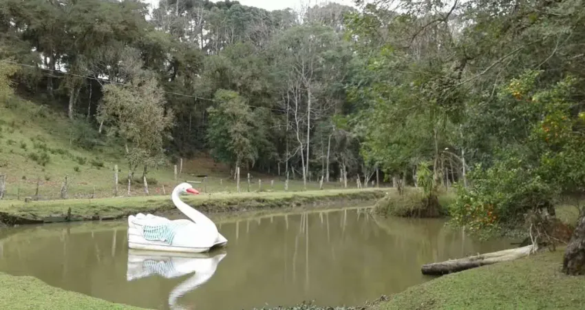 Chácara à venda, 17000.00 m2 por r$750000.00 - itaiacoca - ponta grossa/pr