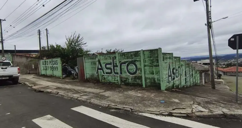 Terreno comercial à venda na Rua Coronel Generoso Martins de Araújo, S_N, Nova Rússia, Ponta Grossa