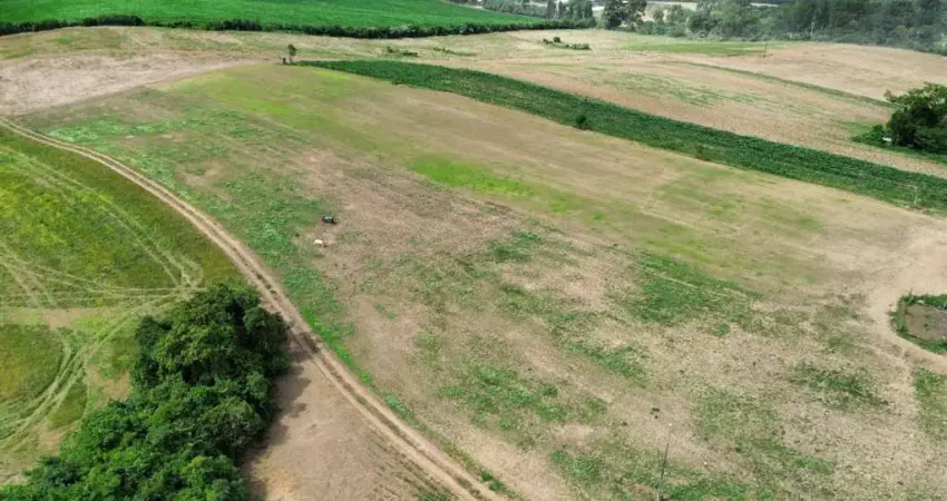 Fazenda à venda na RURAL (consulte a imobiliaria), Periquitos, Ponta Grossa