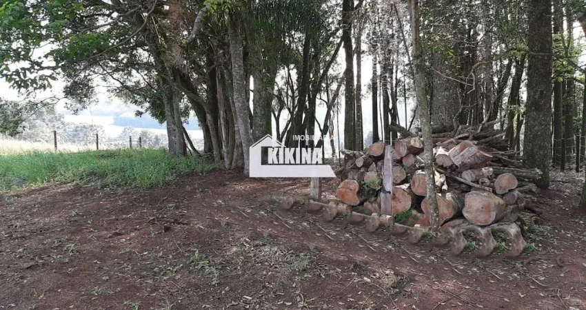 Área à venda, 21541.00 m2 por R$240000.00  - Area Rural - Catanduvas/PR