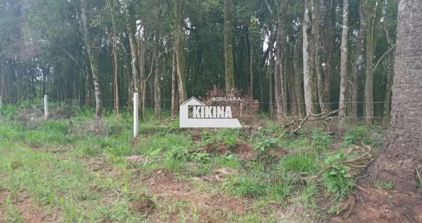 Área à venda, 1200.00 m2 por R$60000.00  - Loteamento Linho I - Imbituva/PR