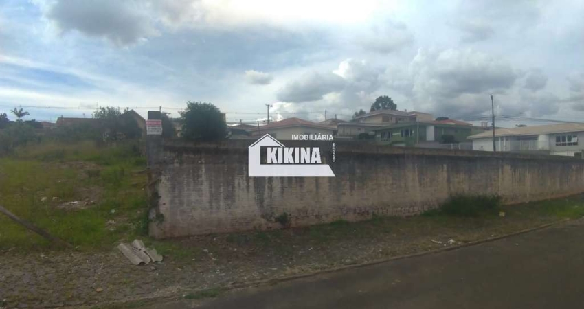 Terreno à venda, 462.00 m2 por R$290000.00  - Uvaranas - Ponta Grossa/PR