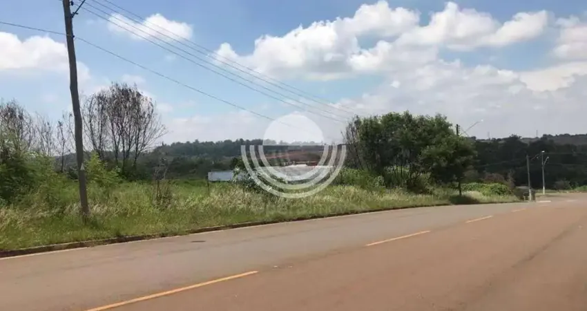 Terreno comercial à venda na Rua Maria Olga de Carvalho Alves, Betel, Paulínia